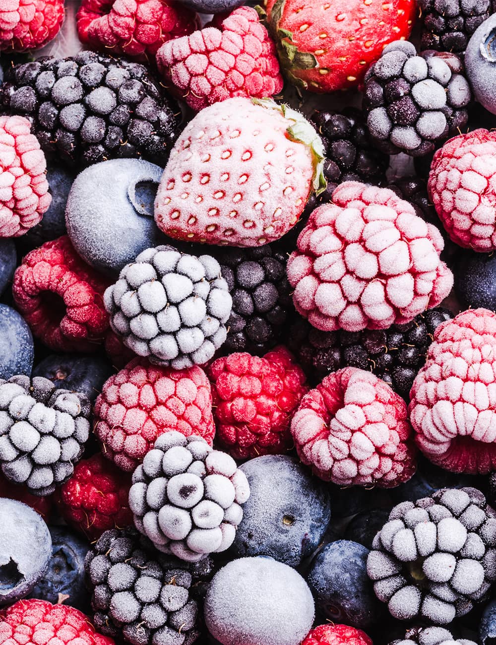 Cuartos Frios Cozumel